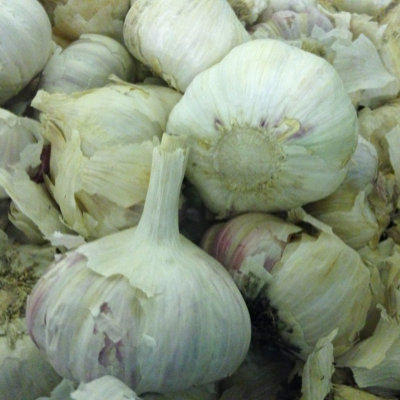 Garlic Kingsland Wight